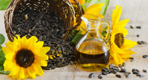 Girasol Girasol